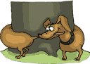 cane tira coda.gif